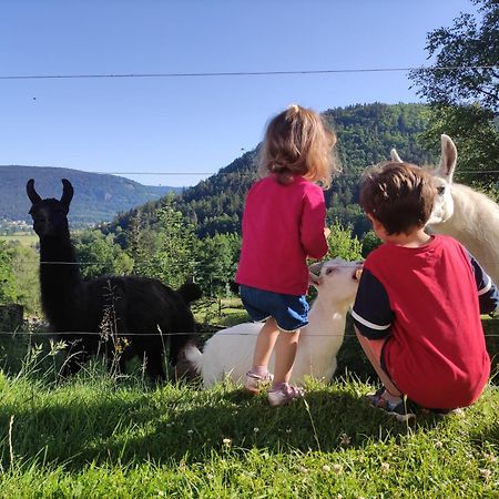 A L'Oree Du Bois Dommartin-les-Remiremont Ruang foto