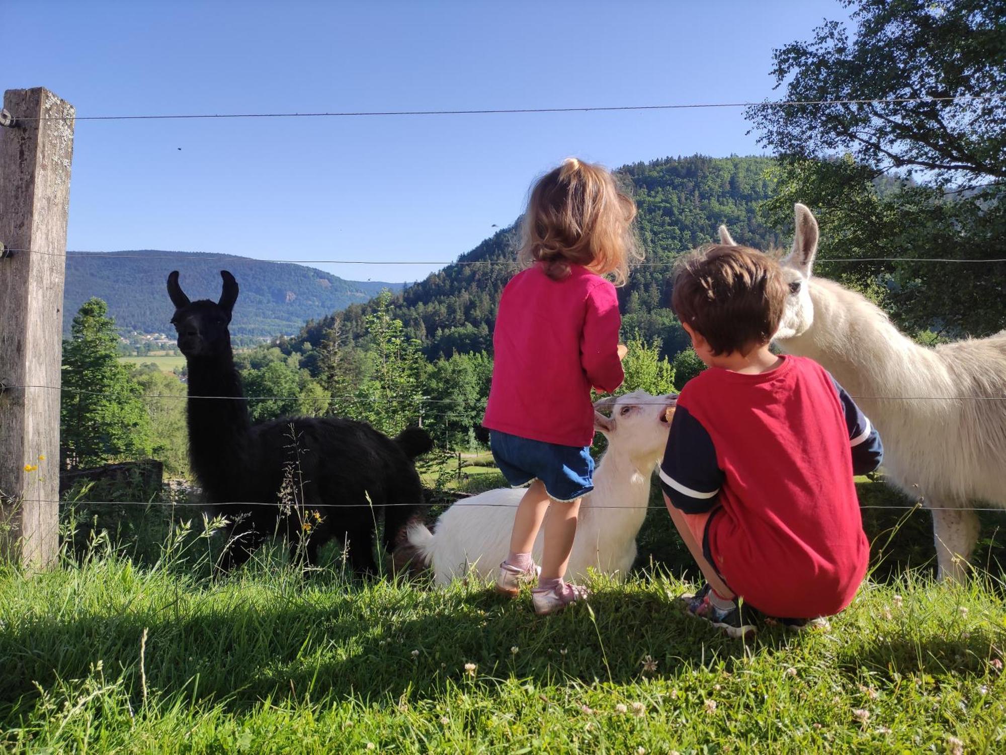 A L'Oree Du Bois Dommartin-les-Remiremont Ruang foto