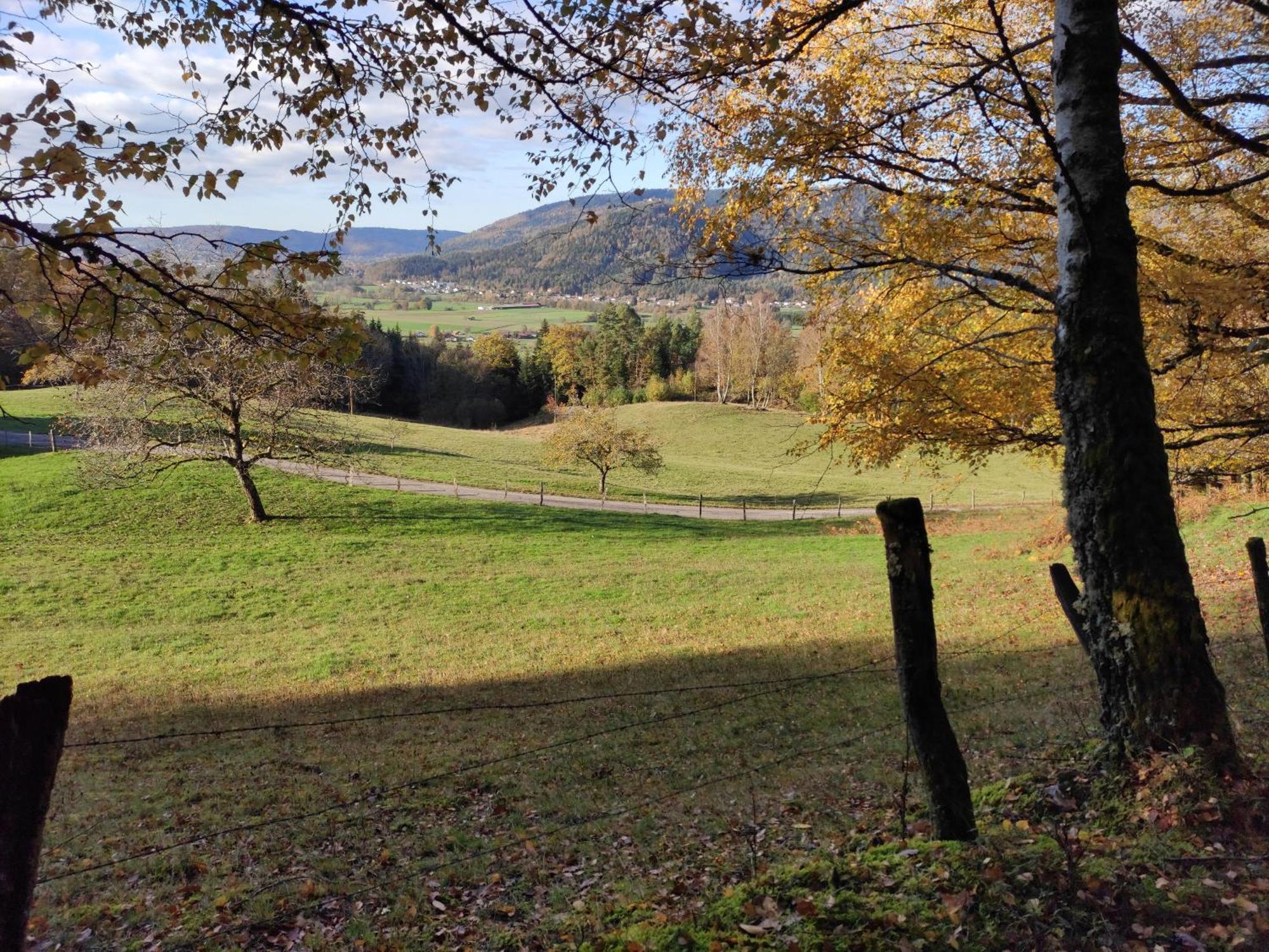 A L'Oree Du Bois Dommartin-les-Remiremont Ruang foto